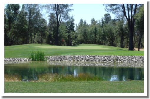 Gold Hills Golf Course, Redding CA - #13 Green