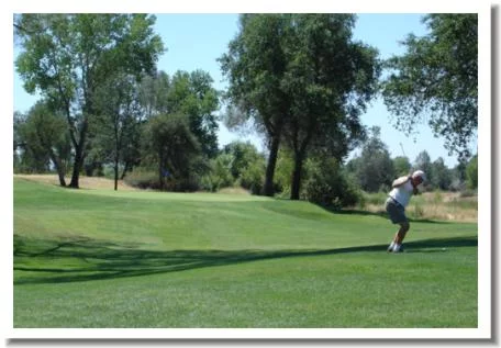 Gold Hills Golf Course, Redding CA - #2 Green