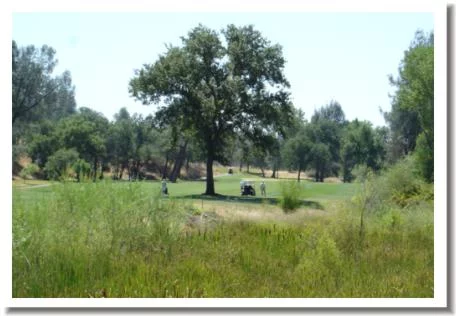 Gold Hills Golf Course, Redding CA - #2 Tee