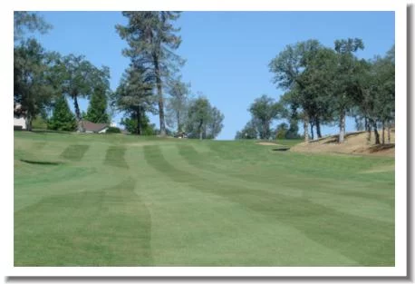 Gold Hills Golf Course, Redding CA - #9 Fairway
