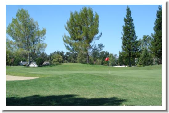 Grape Ranch Golf Club, Palo Cedro CA - #1 Green