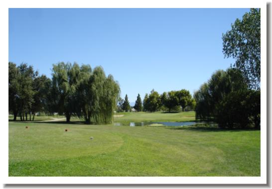 Grape Ranch Golf Club, Palo Cedro CA - #3 Tee & Green