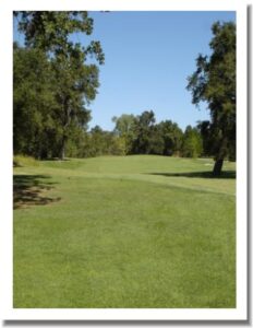 Grape Ranch Golf Club, Palo Cedro CA - #6 Tee & Green