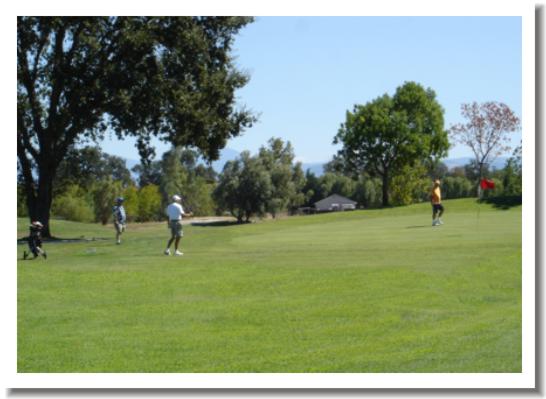 Grape Ranch Golf Club, Palo Cedro CA - #8 Green