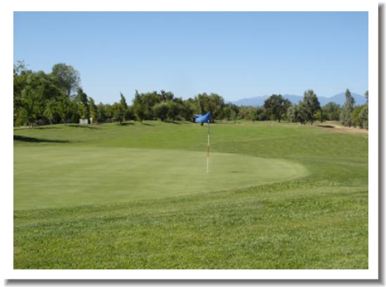 Grape Ranch Golf Club, Palo Cedro CA - #9 Green