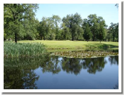 Lake Redding Golf Course - #1 Green