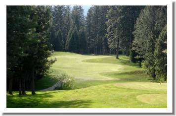 Mt Shasta Resort Golf Course