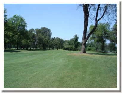 Riverview Country Club, Redding CA - #16 Fairway