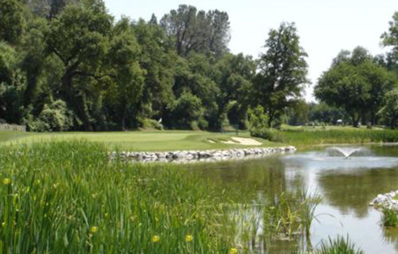 Riverview Golf & Country Club, Redding CA - #17 green