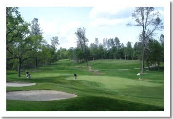 Tierra Oaks Golf Club - #11 Green