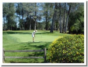 Tierra Oaks Golf Club - Practice Putting Green