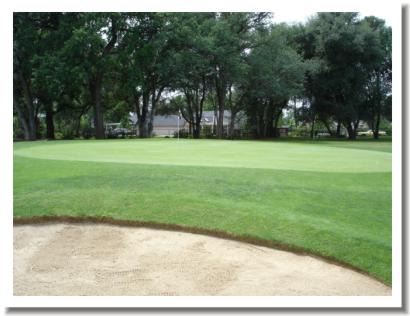 Tucker Oaks Golf Course - #3 green
