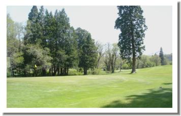 Weed Golf Club - photo 7