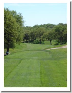 Wilcox Oaks Golf Club - Hole #10