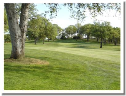 Wilcox Oaks Golf Club - Hole #1